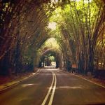 Martha Astorga Scandella - @marthascandella - Instagram