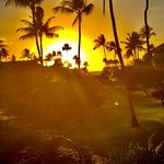 Martha Avery - @martha5avery - Instagram