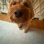 Martha maybe avery - @avery_yk16 - Instagram