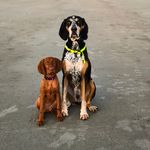 Martha + Bagley - @marthaandbagley - Instagram