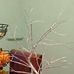 Martha Balderas - Facebook