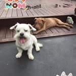 Martha - @marthabalev - Instagram