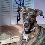 Martha Ballenger - @marthaballenger - Instagram