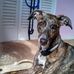 Martha Ballenger - Facebook