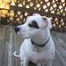 Martha Barefoot - Facebook