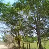 Martha Basilio - @martha.basilio3 - TikTok