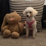Martha Batchelor - @bratha01 - Instagram