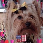 Martha Baumann Burton - @marthabaumannburton - Instagram