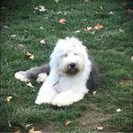 Martha My Bear - Facebook