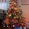 marthabear - @userhuggibear68 - TikTok