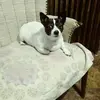 Martha Beatty - @martha.beatty4 - TikTok