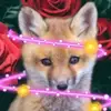 Martha Beavers - @martha.beavers - TikTok