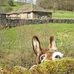 Martha Beckham - Facebook