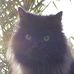 Martha Boehnke - Facebook