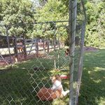 Martha Belcher - @marthabelcher406 - Instagram