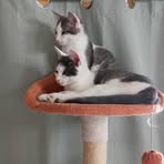 Martha Bellinger - Facebook
