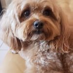 Marta Bencomo - @martica0401 - Instagram
