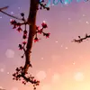 Martha Bencomo - @mar.be99 - TikTok