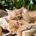 Martha Benjamin - Facebook