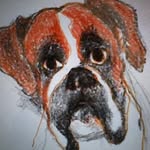 Martha Best - @mhb930 - Instagram