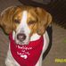 Martha Beverly - Facebook