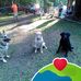 Martha Bickley - Facebook