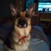 Martha Bickley - Facebook