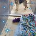 Martha Bickley - Facebook