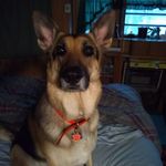 Martha Bickley - @bickleymartha - Instagram