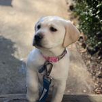 Martha “Lady Bing” Ahern - @marthamayhemahern - Instagram