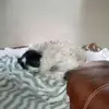 marthablaisdell1 - @martha.blaisdell1 - TikTok