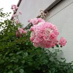 Martha Blank - @martha.blank.9 - Instagram
