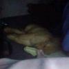 Martha Blumer - @martha_blumer0 - TikTok