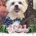Martha Quarles Boatwright - Facebook