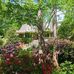 Martha Boggs - Facebook