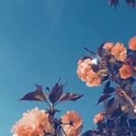 Martha 🌷🌺🌸 - @marthabolt___ - Instagram