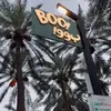 MarthaBOOTH - @martha_booth3718 - TikTok