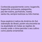 Martha Boykin - @amayrautku - Instagram