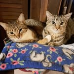 Martha Boynton - @boyntonmartha - Instagram