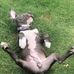 Martha Boynton - Facebook