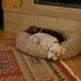 Martha Brady - Facebook
