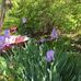 Martha Ann Brandon - Facebook