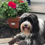 Martha Brantigan Stowell - @marthabrantiganstowell - Instagram