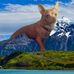 Martha Brim - Facebook