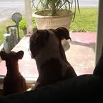 Martha J. Buchanan - @buchanan_martha - Instagram