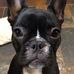 Martha Bunch - Facebook