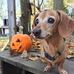 Martha Burge - Facebook