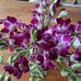 Martha Burnham - Facebook