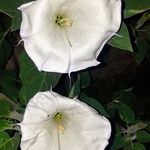 Martha Burnham - @marthaburnham64 - Instagram