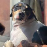 Marta zarate - @martha.cabello.18007 - Instagram